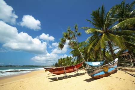 Luxe Sri Lanka rondreis in de winter