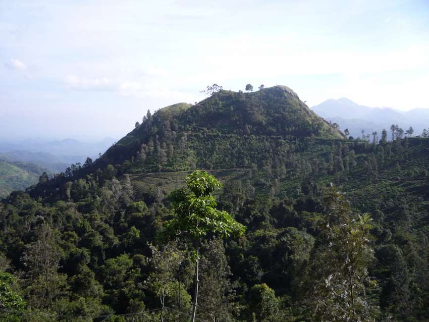 Little Adam's Peak in Ella
