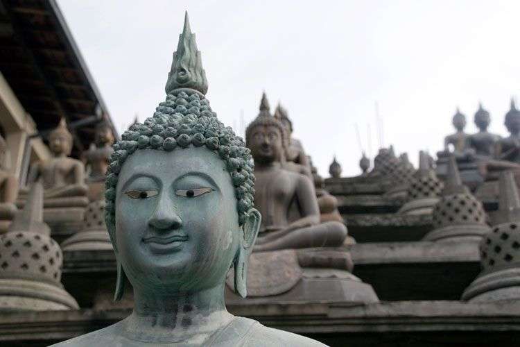 Veel Boeddha beelden tijdens je Sri Lanka rondreis