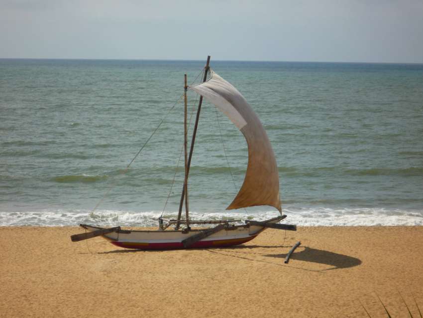 De kenmerkende vissersboten liggen in Negombo op het strand<br>