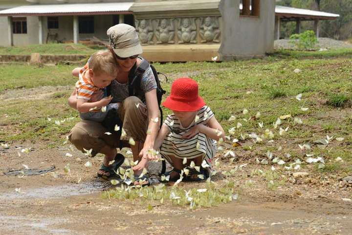 Sri Lanka van noord naar zuid 2026