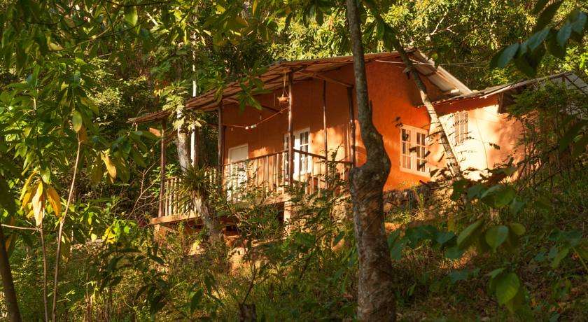 Je chalet ligt hier midden in de jungle