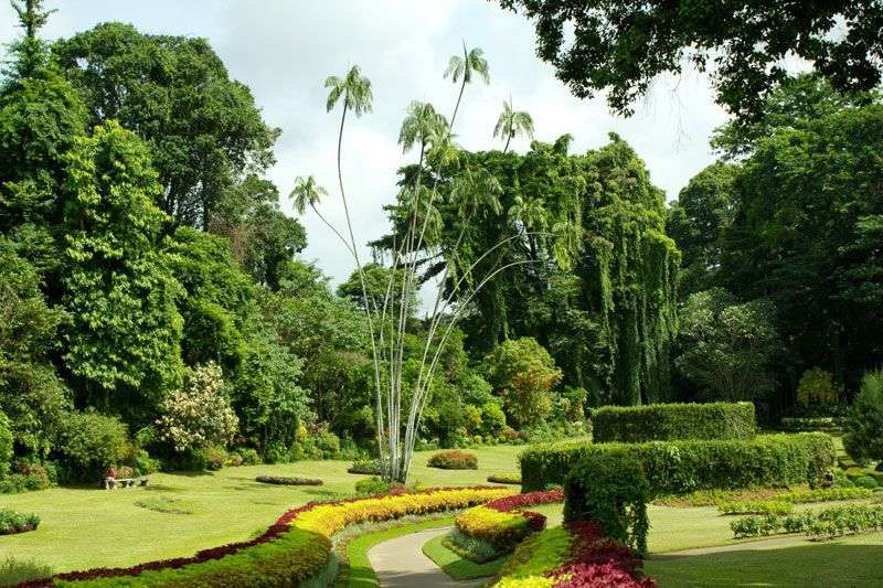 De botanische tuin in Kandy<br>