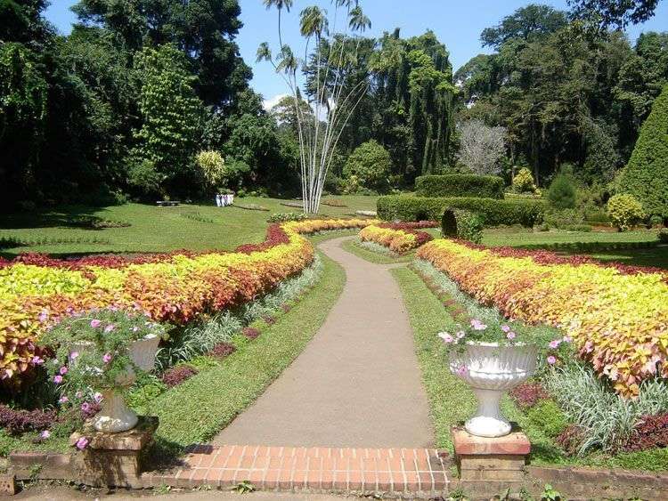 De botanische tuin bij Kandy in Sri Lanka