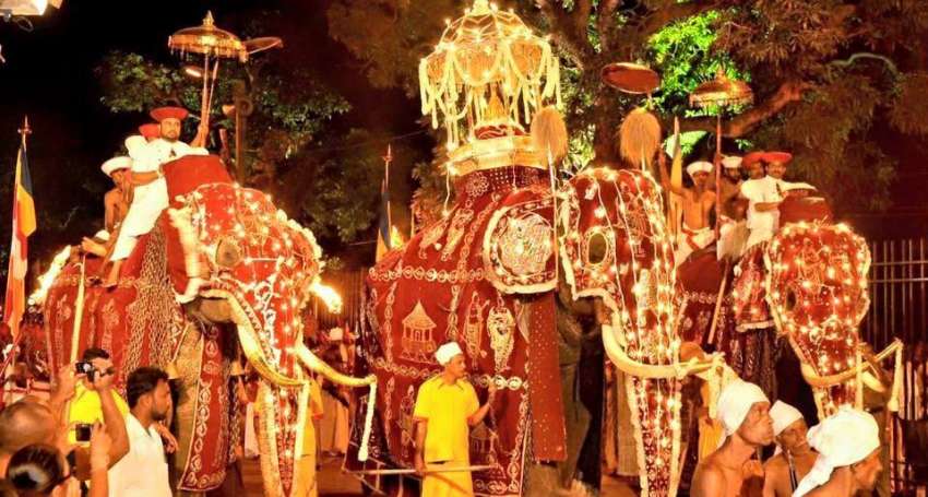 Je bezoekt de Kandy perahera. Gedurende tien dagen staat de stad in het teken van deze processie en deel je de straten met bedevaartgangers 