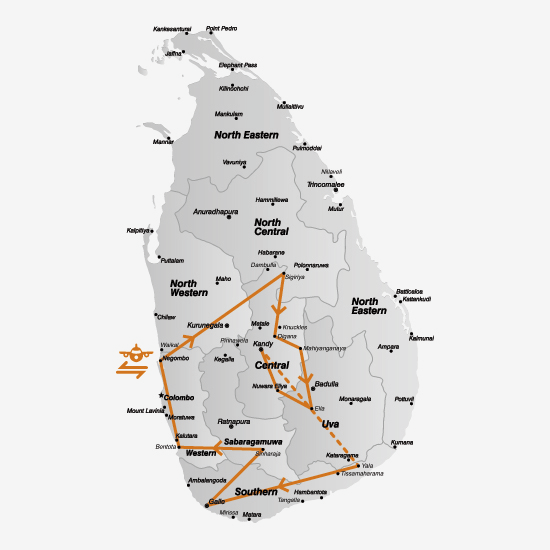 Sri Lanka rondreis drie weken avontuur in het groen