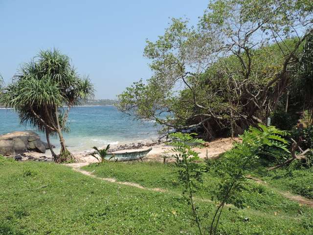 Sri Lanka is een tropische bestemming 