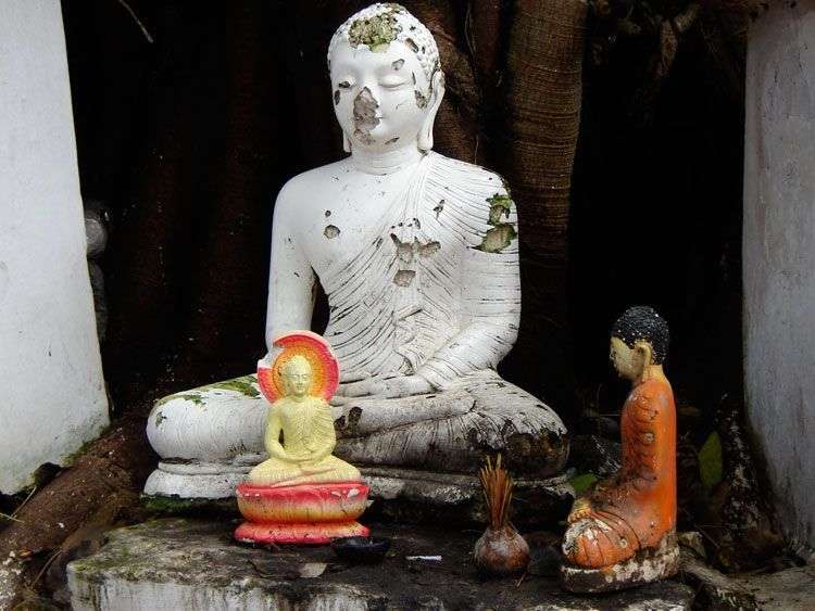 Boeddha's in kleine tempel langs de weg in Sri Lanka