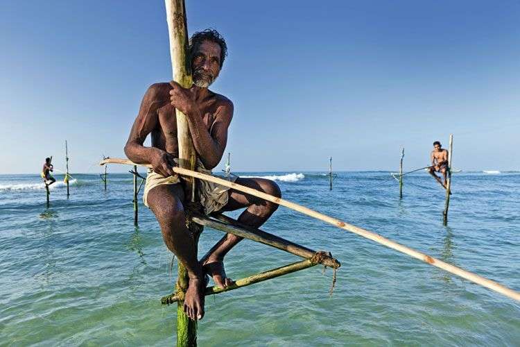 De beroemde paalvissers van Sri Lanka