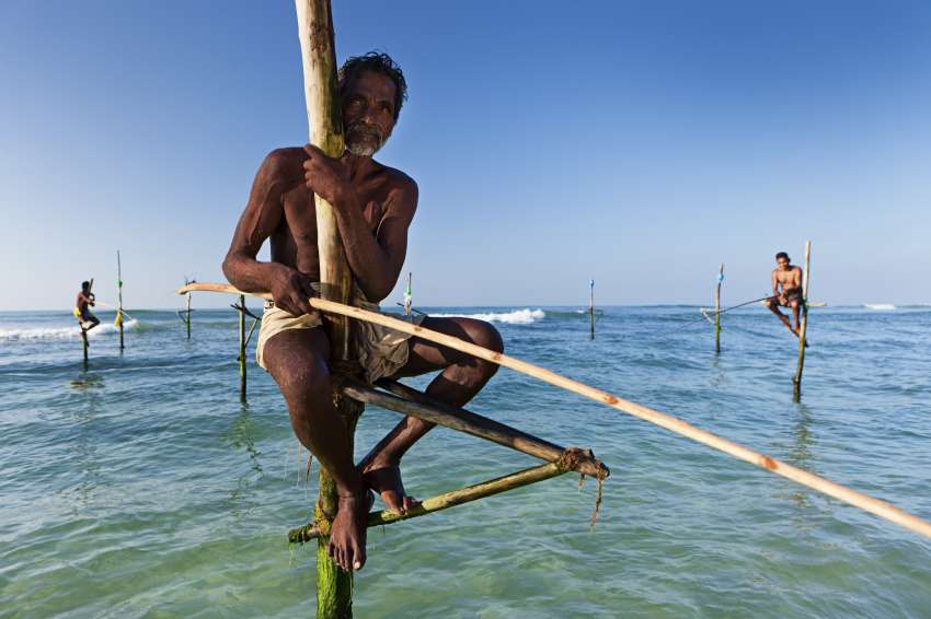 De beroemde paalvissers van Sri Lanka