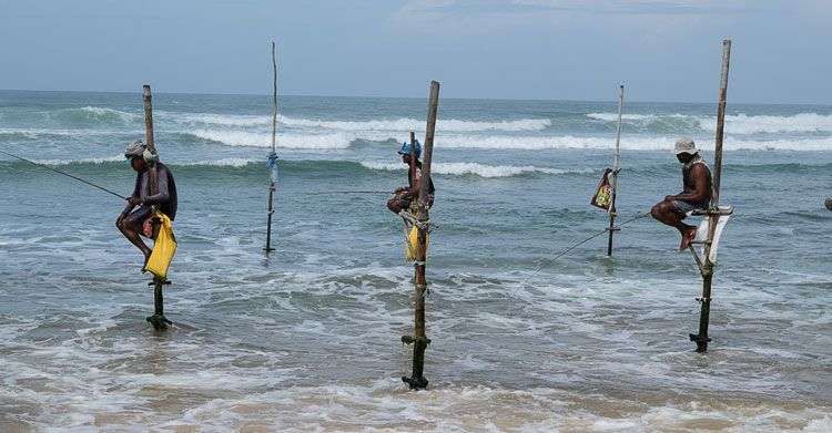 Paalvissers in Sri Lanka<br>