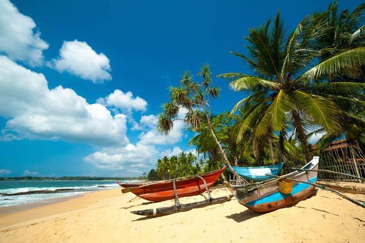 Luxe Sri Lanka rondreis in de winter
